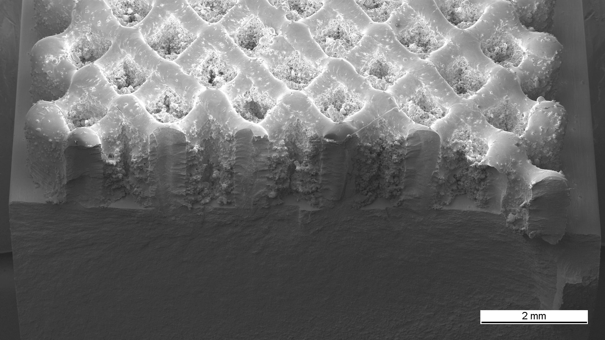 Abb. 1: REM-Aufnahme der Bruchfläche (Probe: AM-Struktur auf einem Balken)