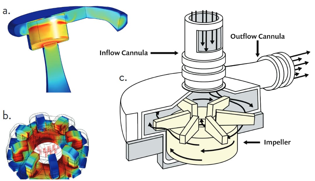 Visualization of the magnetically levitated rotor